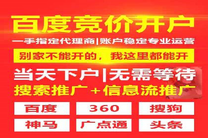 百度竞价入门必看：实操技巧与成功案例